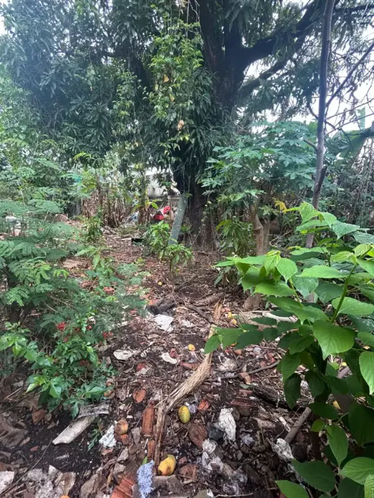 Terreno, 720 m² - Foto 4