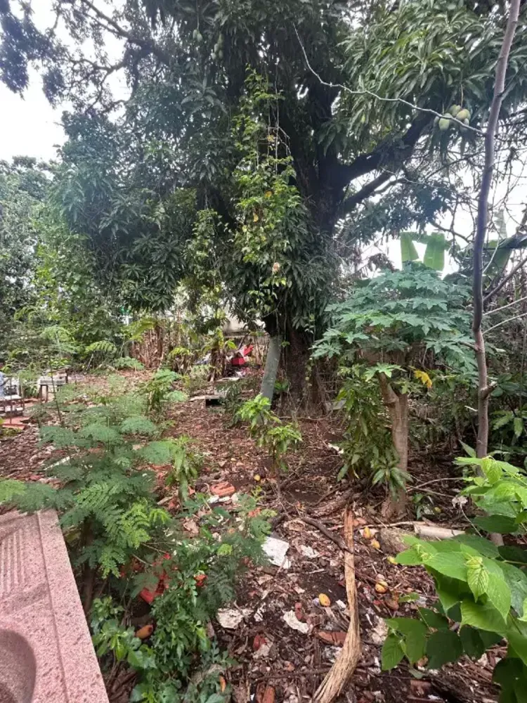 Terreno, 720 m² - Foto 9