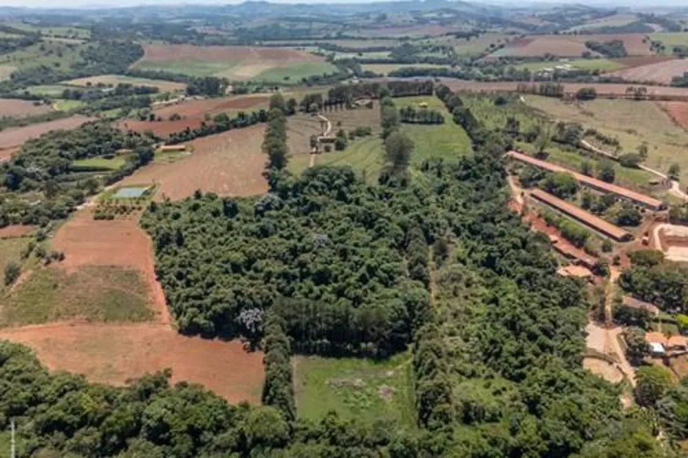 Casa, 5 quartos, 48758 m² - Foto 5