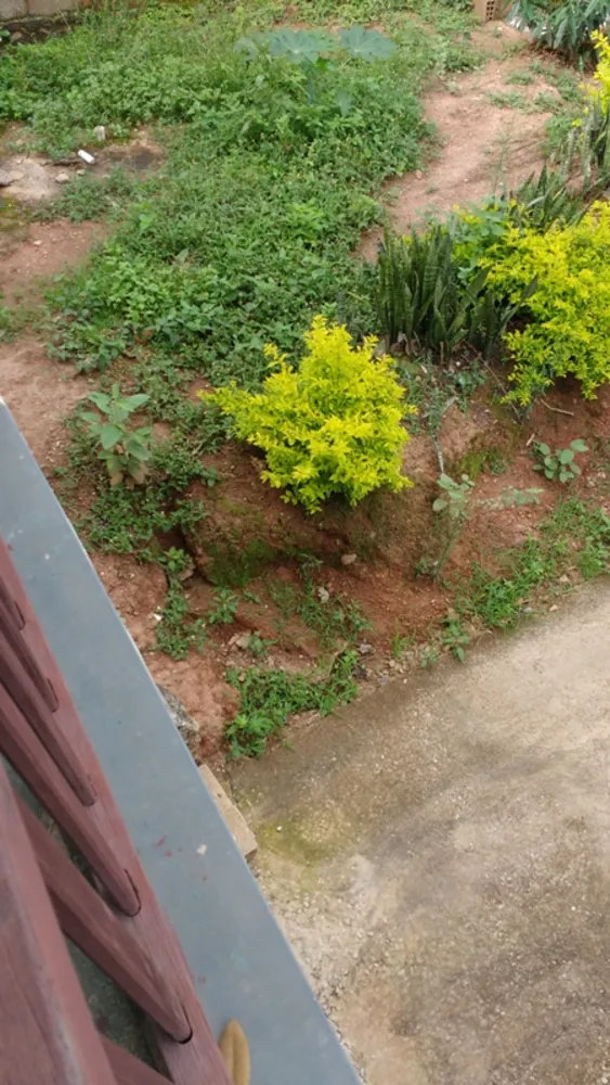Casa, 3 quartos, 80 m² - Foto 7