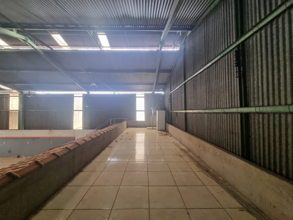 Depósito-Galpão, 300 m² - Foto 8