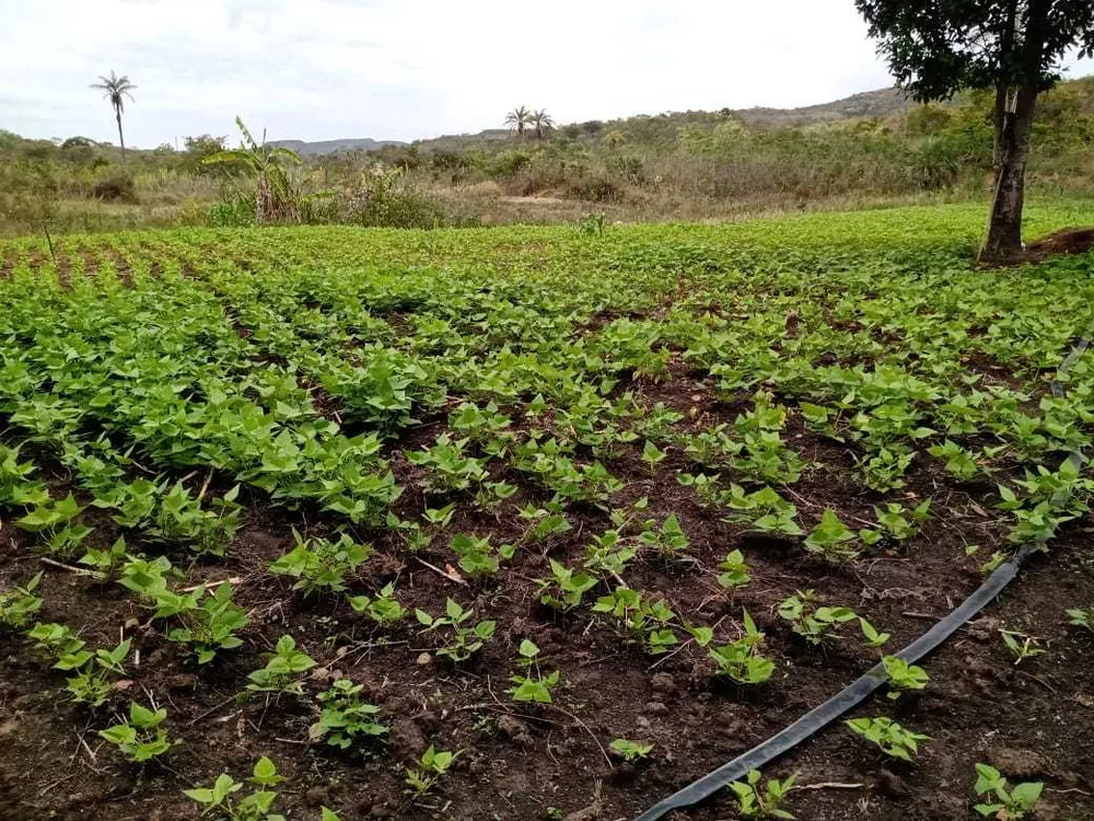 Chácara à venda com 1 quarto, 130m² - Foto 3