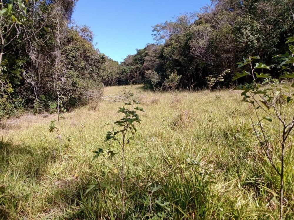 Terreno à venda, 130000m² - Foto 2