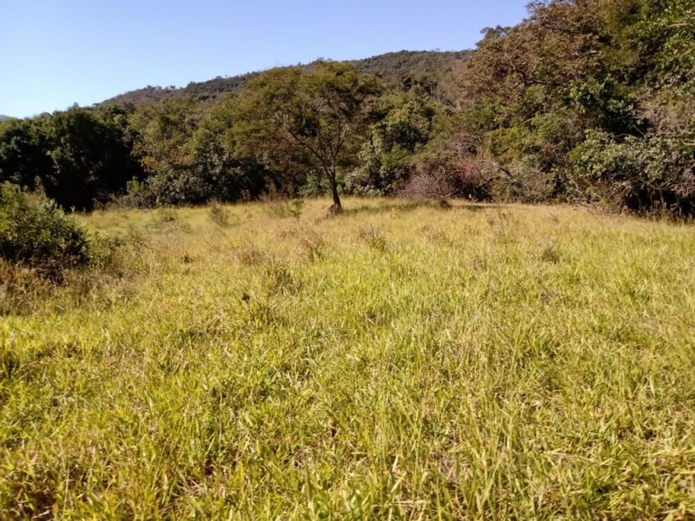 Terreno à venda, 130000m² - Foto 1