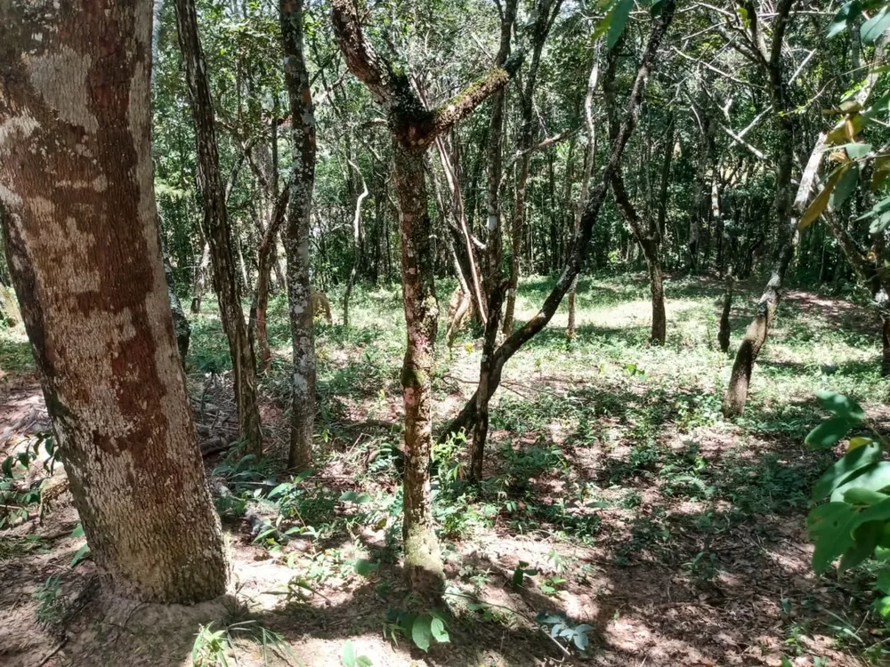 Chácara, 3 quartos - Foto 10