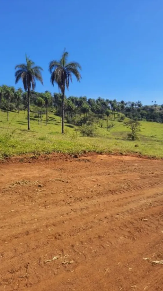 Terreno, 360 m² - Foto 3