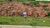 Terreno, 220 m² - Foto 4