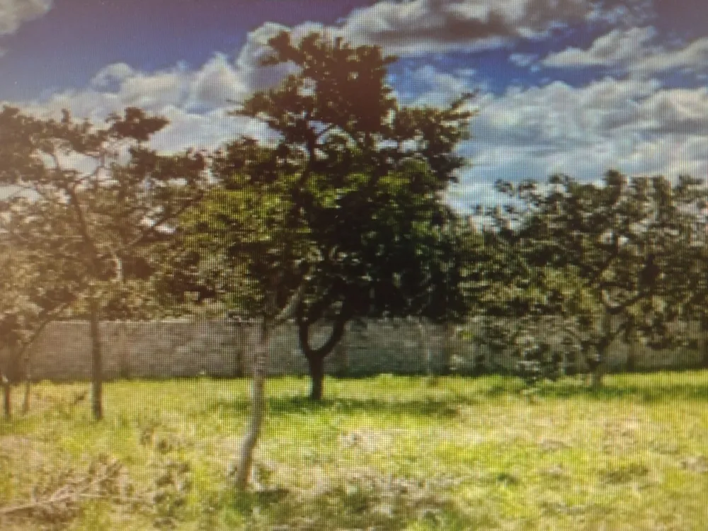 Terreno, 1000 m² - Foto 3