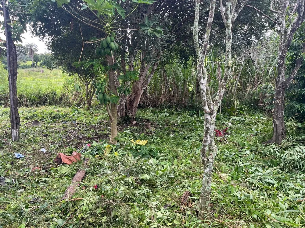 Terreno, 5500 m² - Foto 4