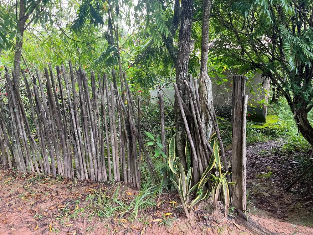 Terreno, 5500 m² - Foto 2