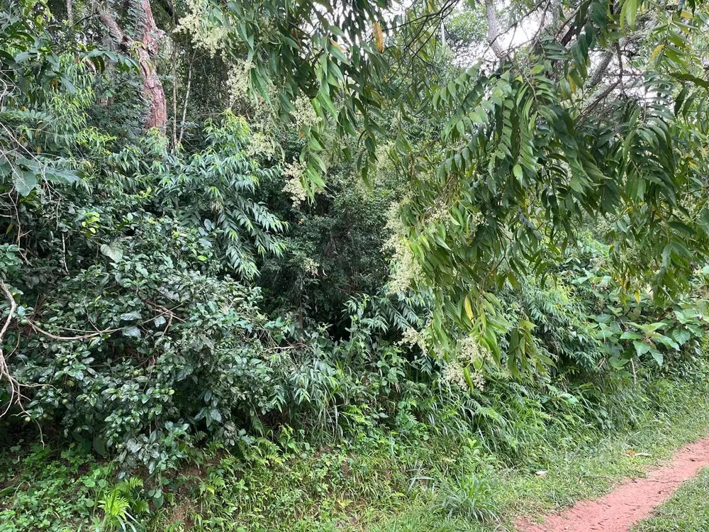 Terreno, 5500 m² - Foto 11
