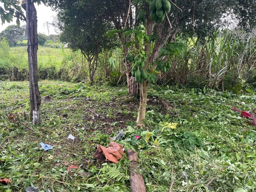 Terreno, 5500 m² - Foto 5
