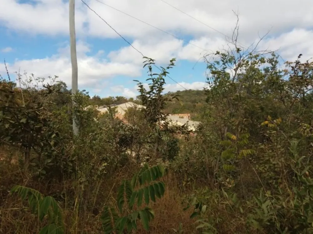 Terreno, 6200 m² - Foto 2