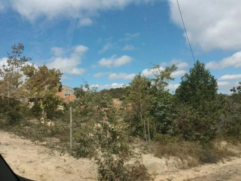 Terreno, 6200 m² - Foto 2