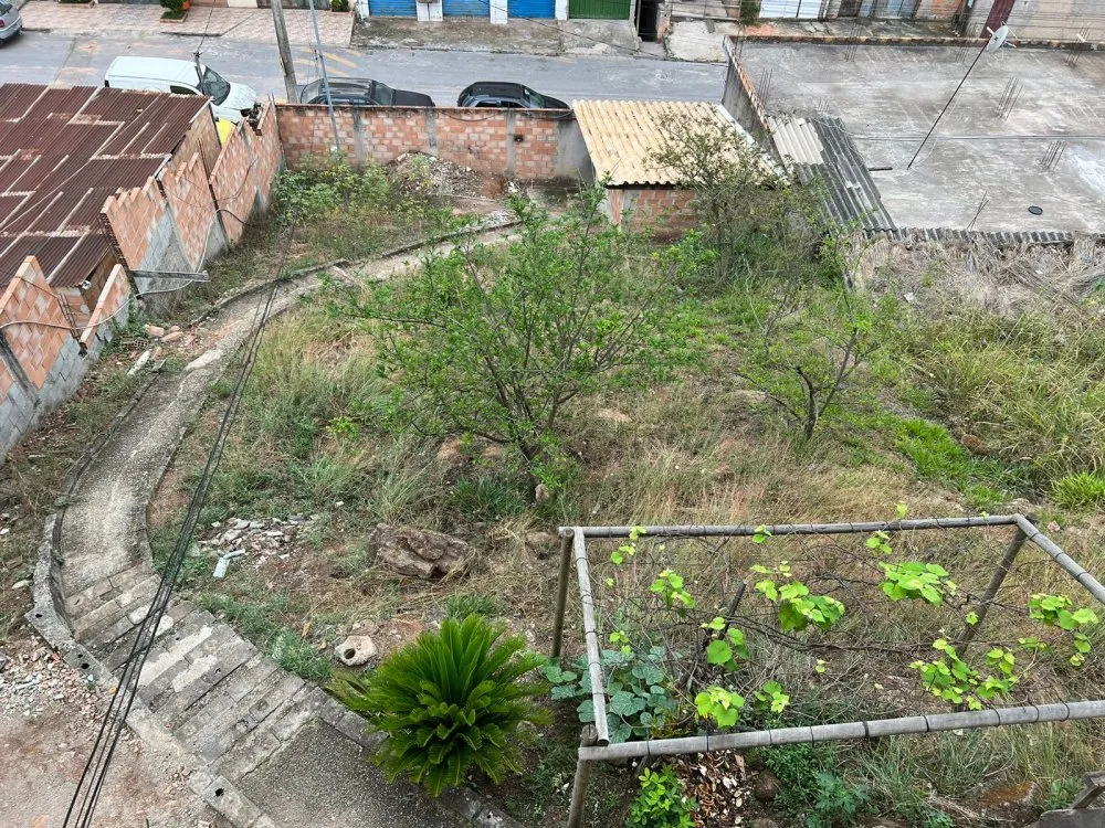 Casa, 3 quartos, 360 m² - Foto 10