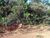 Terreno, 300 m² - Foto 5