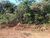 Terreno, 300 m² - Foto 1