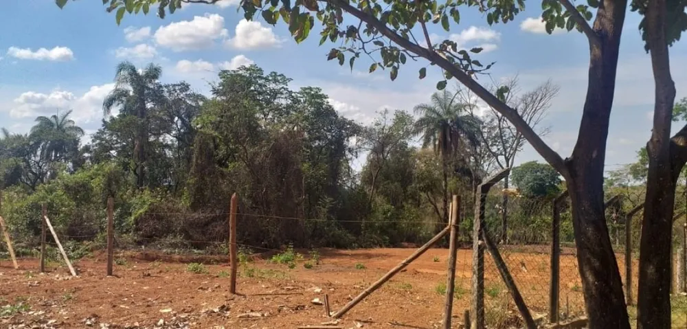 Terreno, 1000 m² - Foto 3