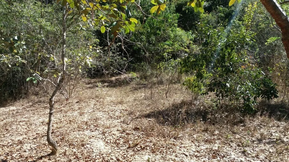 Terreno, 30000 m² - Foto 7