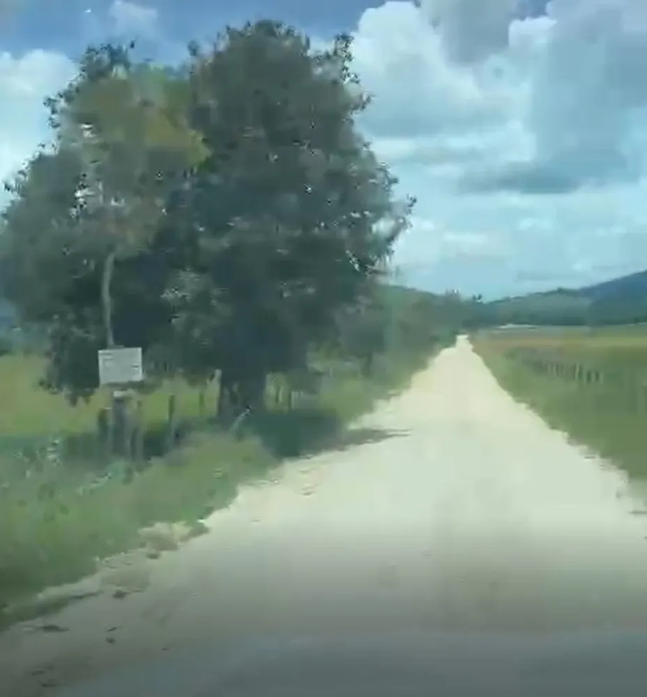 Fazenda, 133 hectares - Foto 4
