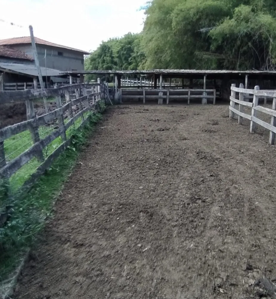 Fazenda, 133 hectares - Foto 6