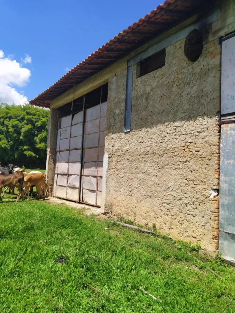 Fazenda, 133 hectares - Foto 8