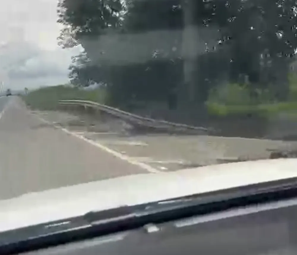 Fazenda, 133 hectares - Foto 3