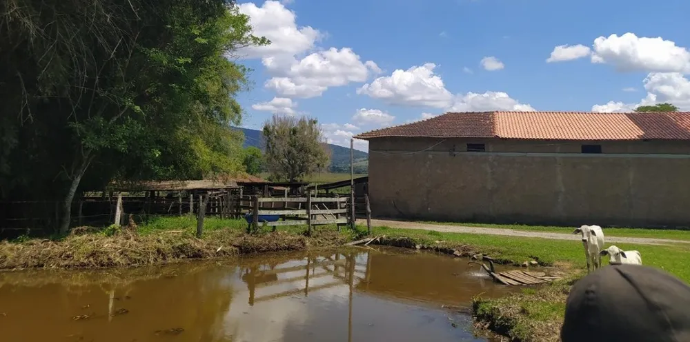 Fazenda, 133 hectares - Foto 9