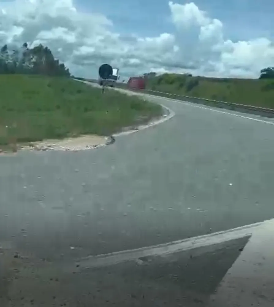 Fazenda, 133 hectares - Foto 1