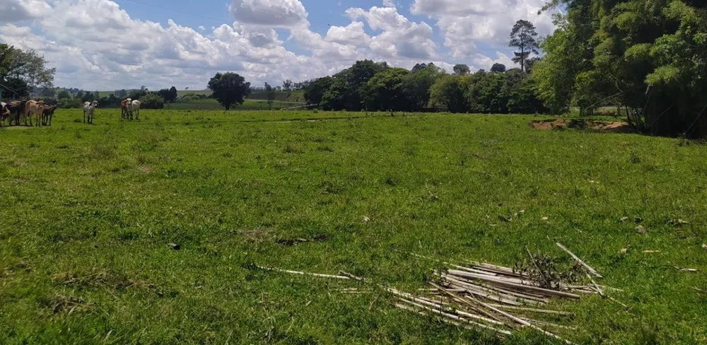 Fazenda, 133 hectares - Foto 2