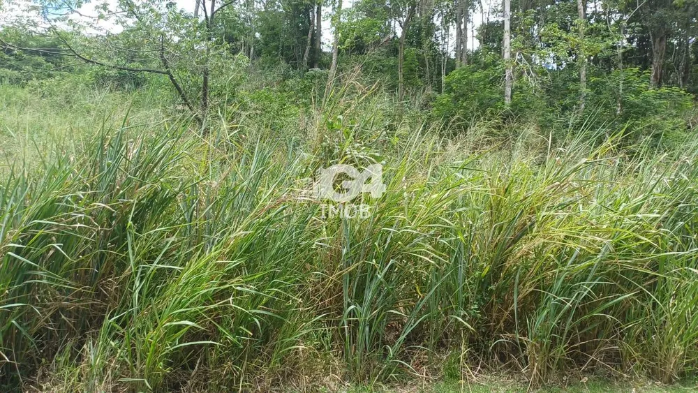 Terreno, 1000 m² - Foto 13