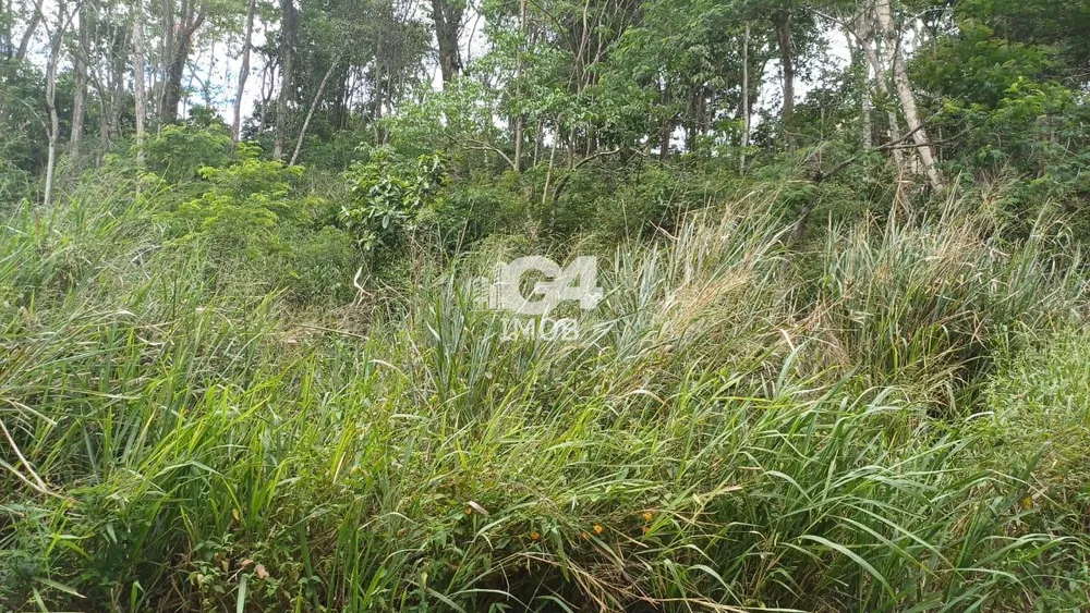 Terreno, 1000 m² - Foto 14