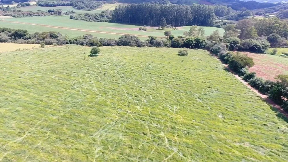 Terreno, 92000 m² - Foto 4
