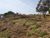 Terreno, 360 m² - Foto 1