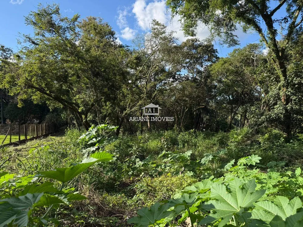 Terreno, 5810 m² - Foto 6