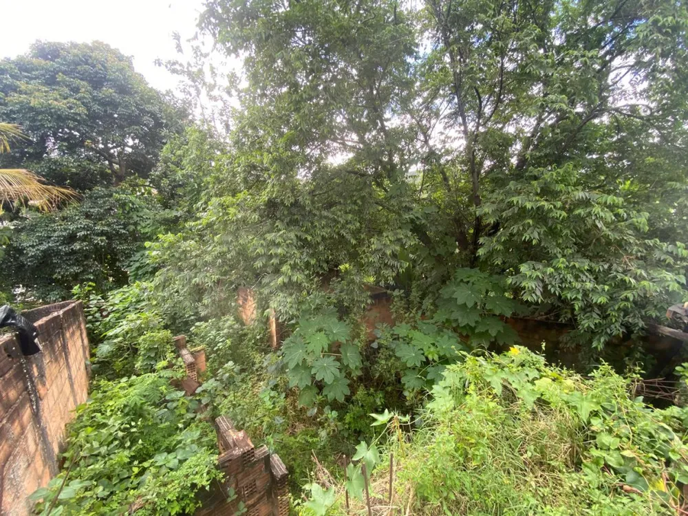 Terreno, 300 m² - Foto 10