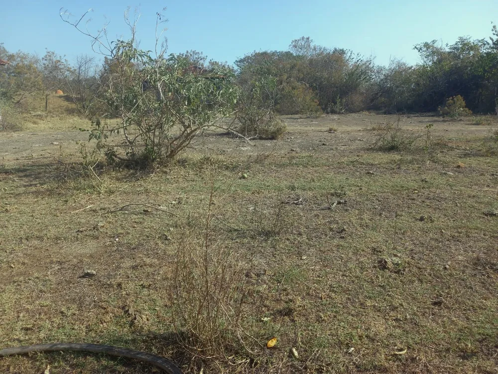 Fazenda, 99 hectares - Foto 3