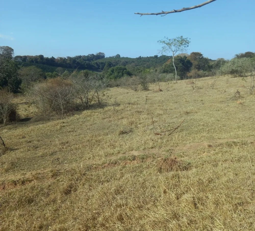 Fazenda, 99 hectares - Foto 5