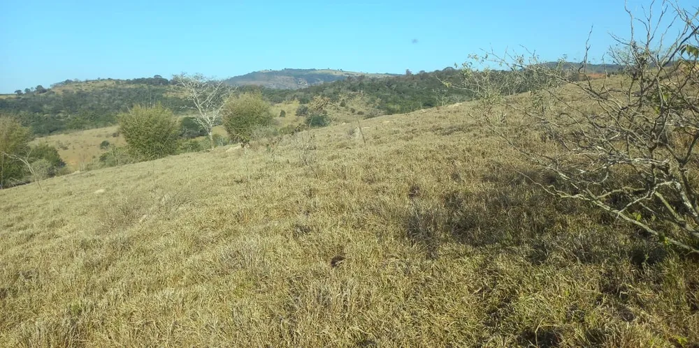 Fazenda, 99 hectares - Foto 4