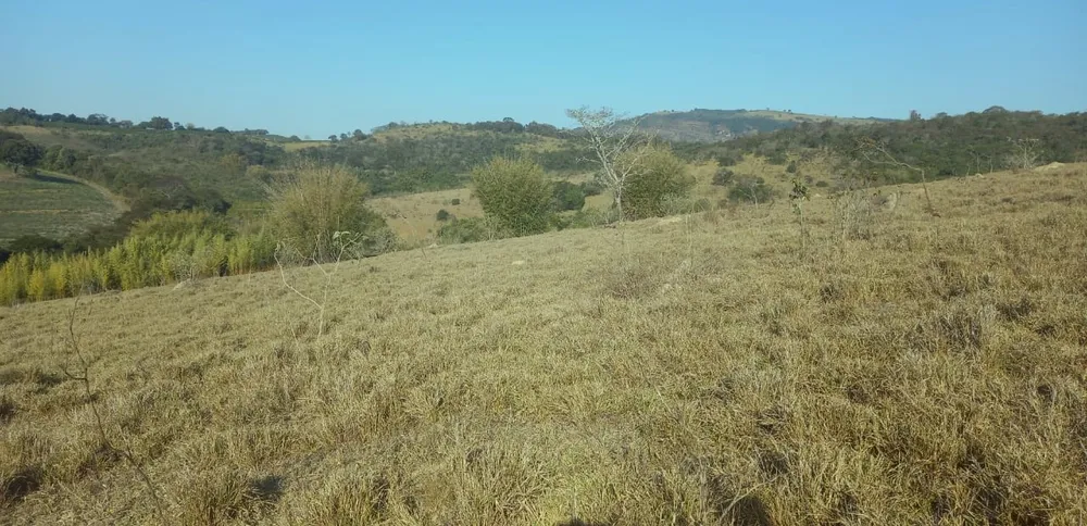 Fazenda, 99 hectares - Foto 1