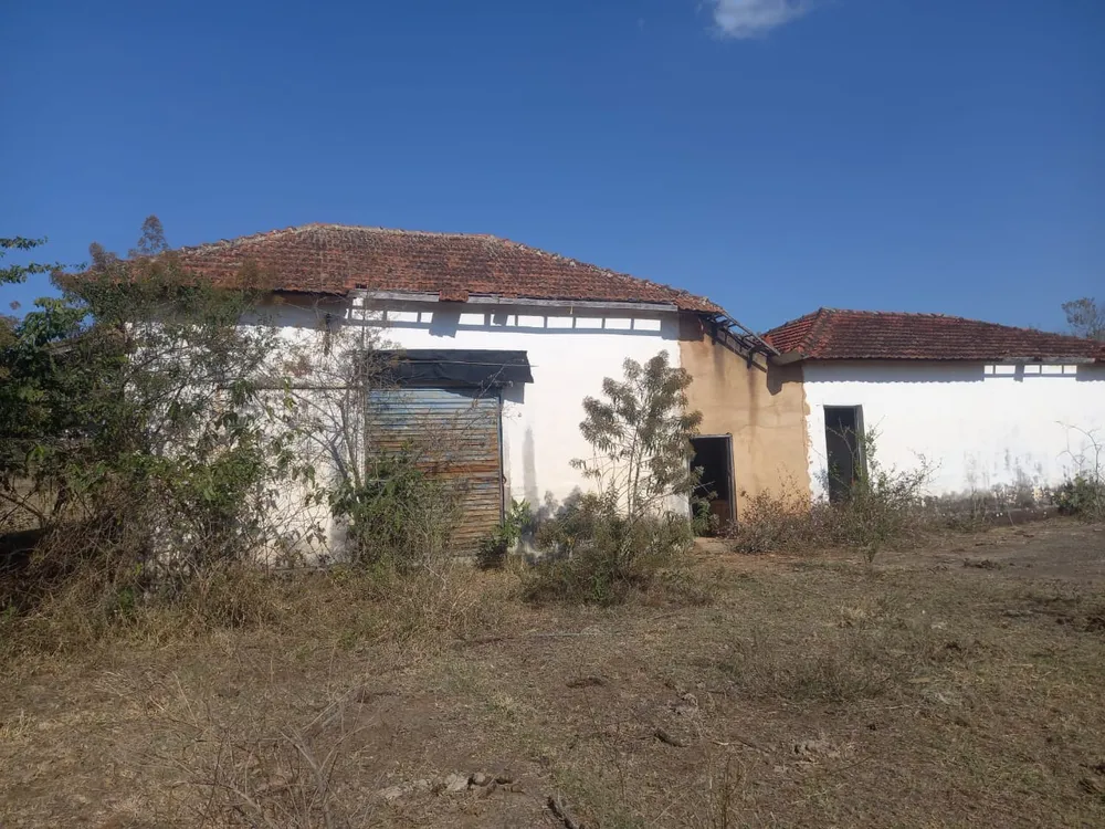 Fazenda, 99 hectares - Foto 7
