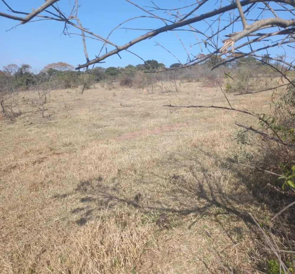 Fazenda, 99 hectares - Foto 2
