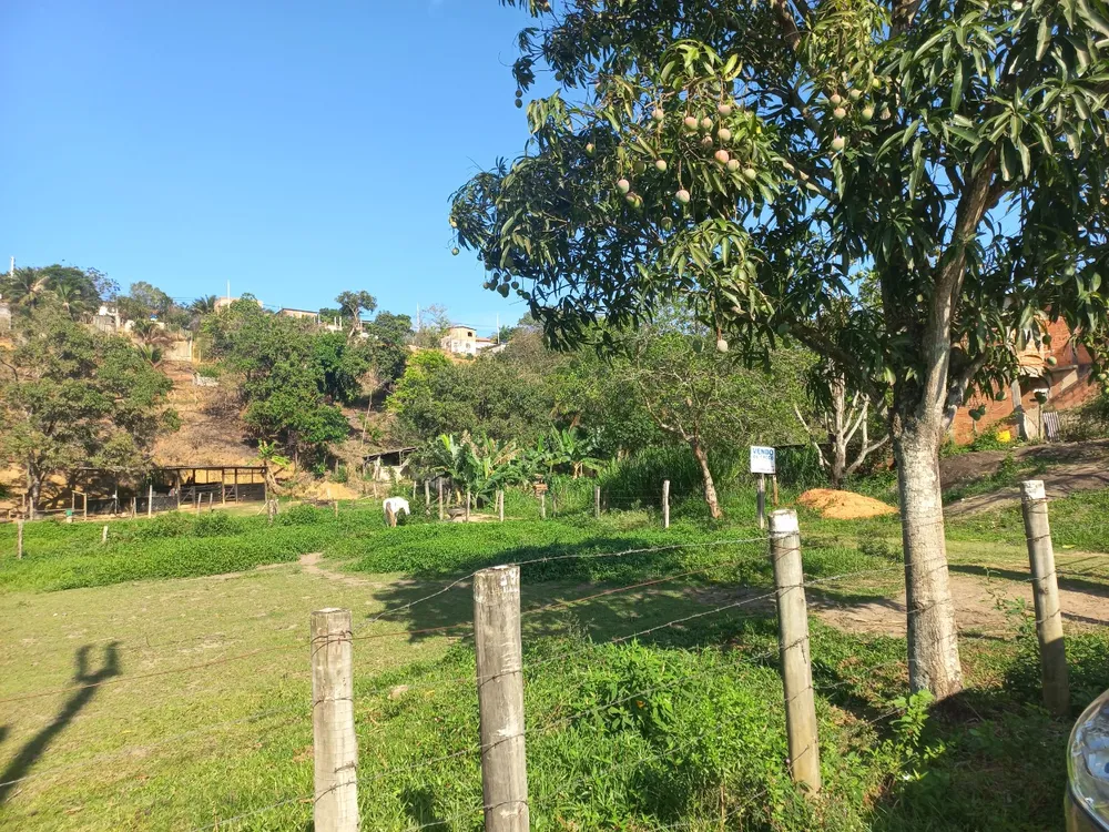 Terreno, 3220 m² - Foto 6