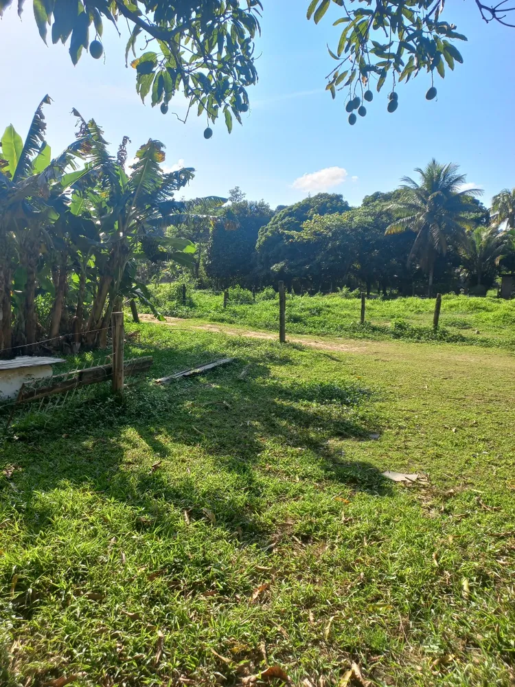 Terreno, 3220 m² - Foto 4