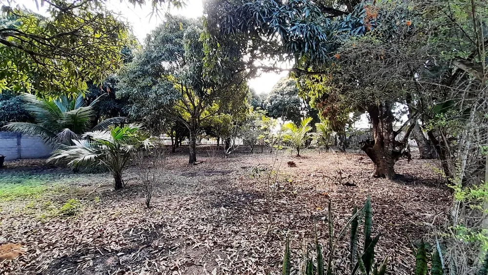 Terreno, 2400 m² - Foto 5
