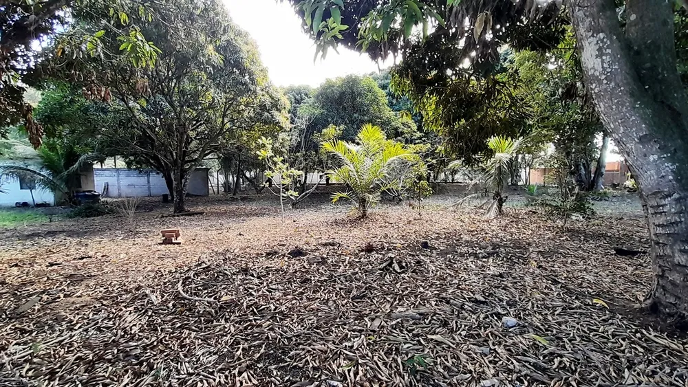 Terreno, 2400 m² - Foto 6