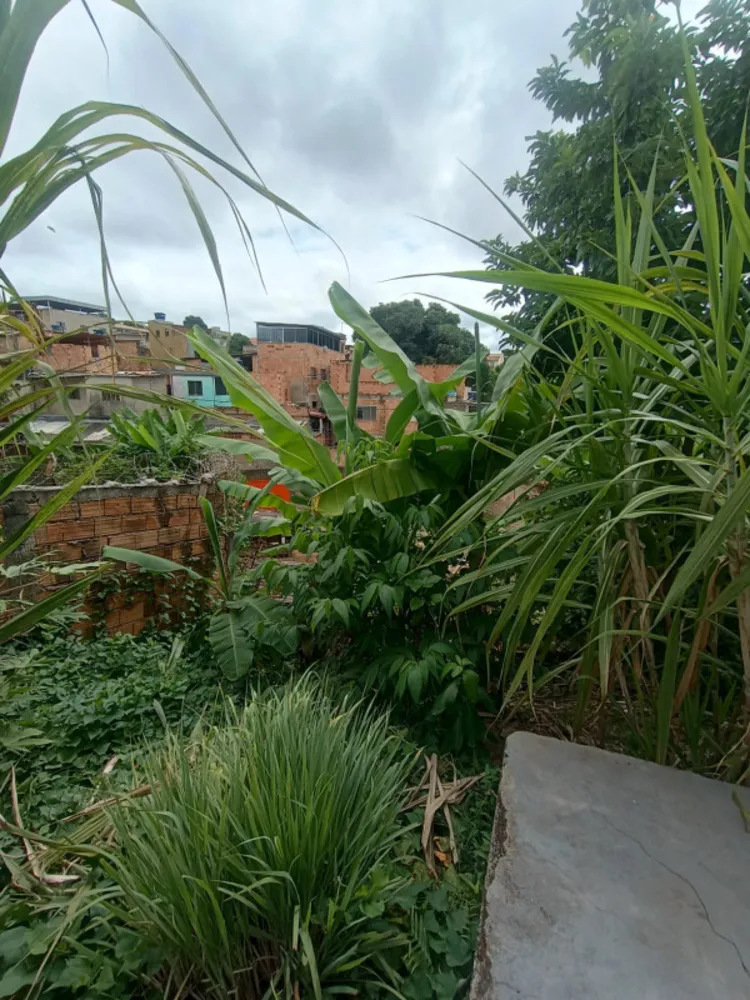 Casa, 3 quartos, 360 m² - Foto 7