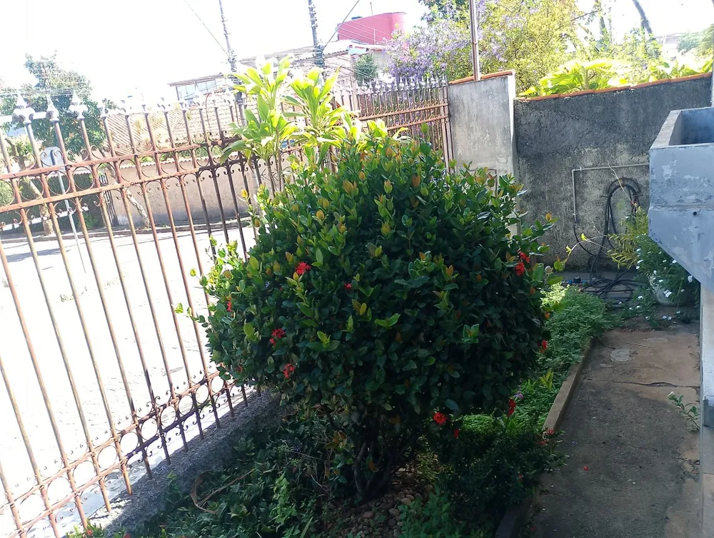 Casa, 3 quartos, 360 m² - Foto 4