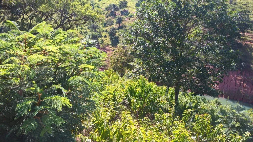 Chácara, 1 quarto - Foto 4