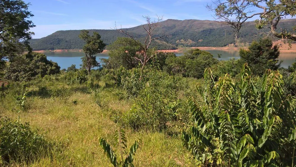 Chácara, 1 quarto - Foto 7